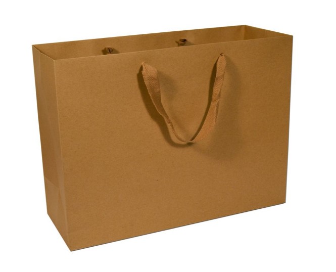 Deluxe Tinted‑Kraft Shopping Bags with Premium Wide Ribbon Handles